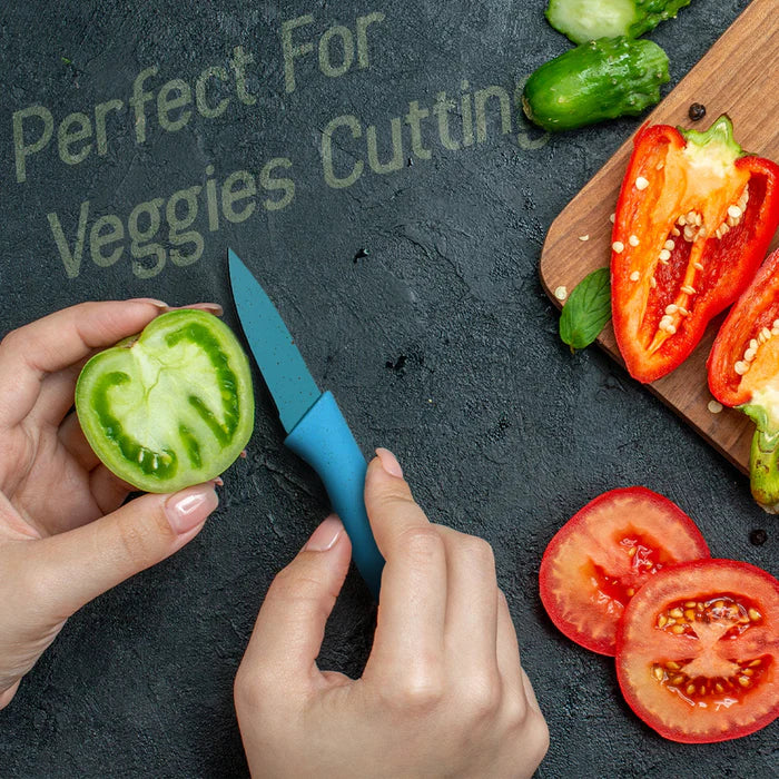 Professional Colorful Kitchen Knives Set (6 Pcs Set)