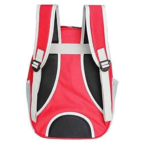 Pet Cat, Small Dog Carrying Bag Pet Backpacks Breathable Portable and Transparent