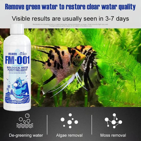 AquaQ™ Fish Tank Water Purifier Algae Remover 100ml (Buy 1 Get 2 Free🔥)