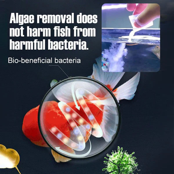 AquaQ™ Fish Tank Water Purifier Algae Remover 100ml (Buy 1 Get 2 Free🔥)