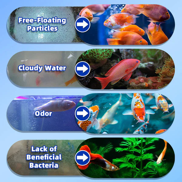AquaQ™ Fish Tank Water Purifier Algae Remover 100ml (Buy 1 Get 2 Free🔥)