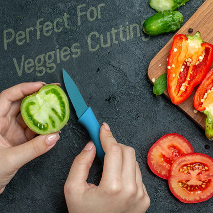 Professional Colorful Kitchen Knives Set (6 Pcs Set)