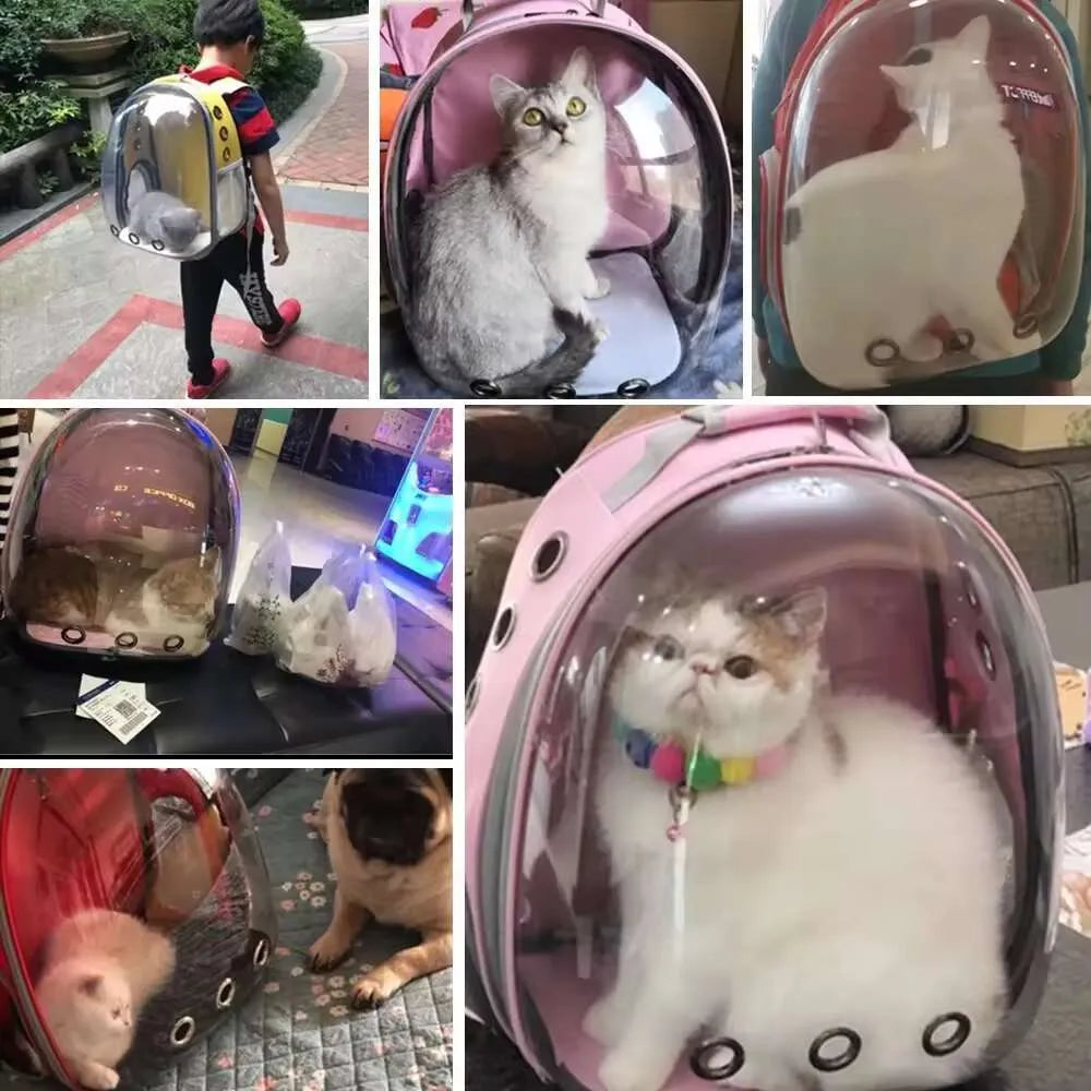 Pet Cat, Small Dog Carrying Bag Pet Backpacks Breathable Portable and Transparent